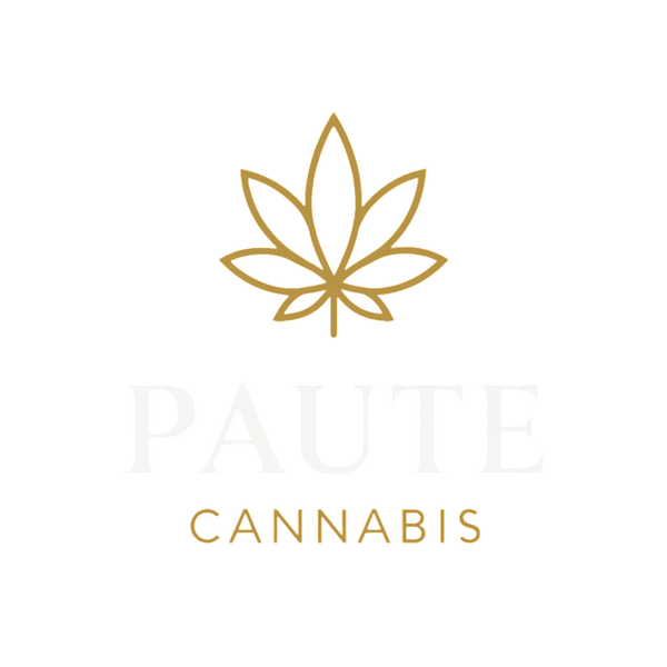 Paute